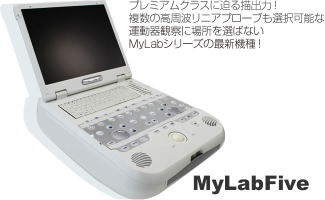 MyLabFive