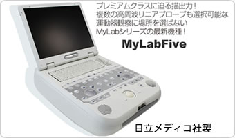 MyLabFive