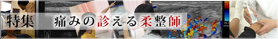 痛みの見える柔整師